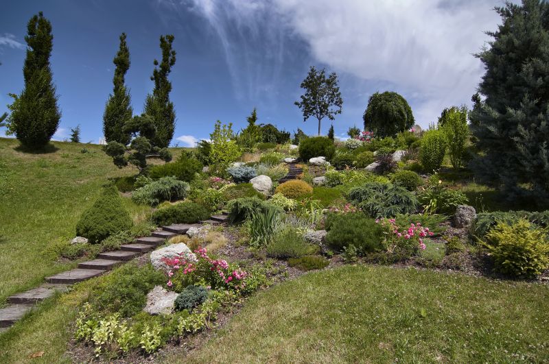 Rock Landscaping