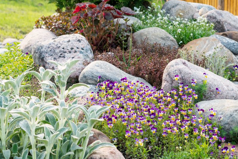 Rock Landscaping